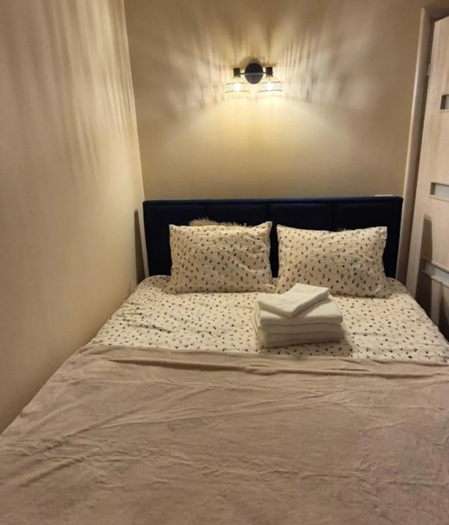 Ina Herastrau Apartment Bucharest